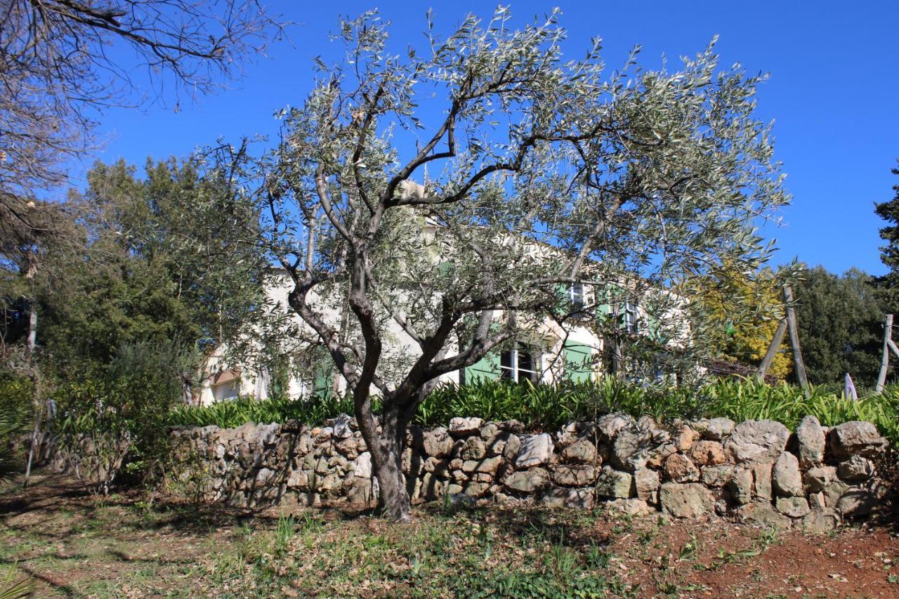 Appartamento Ecole Buissonnière Antibes Esterno foto