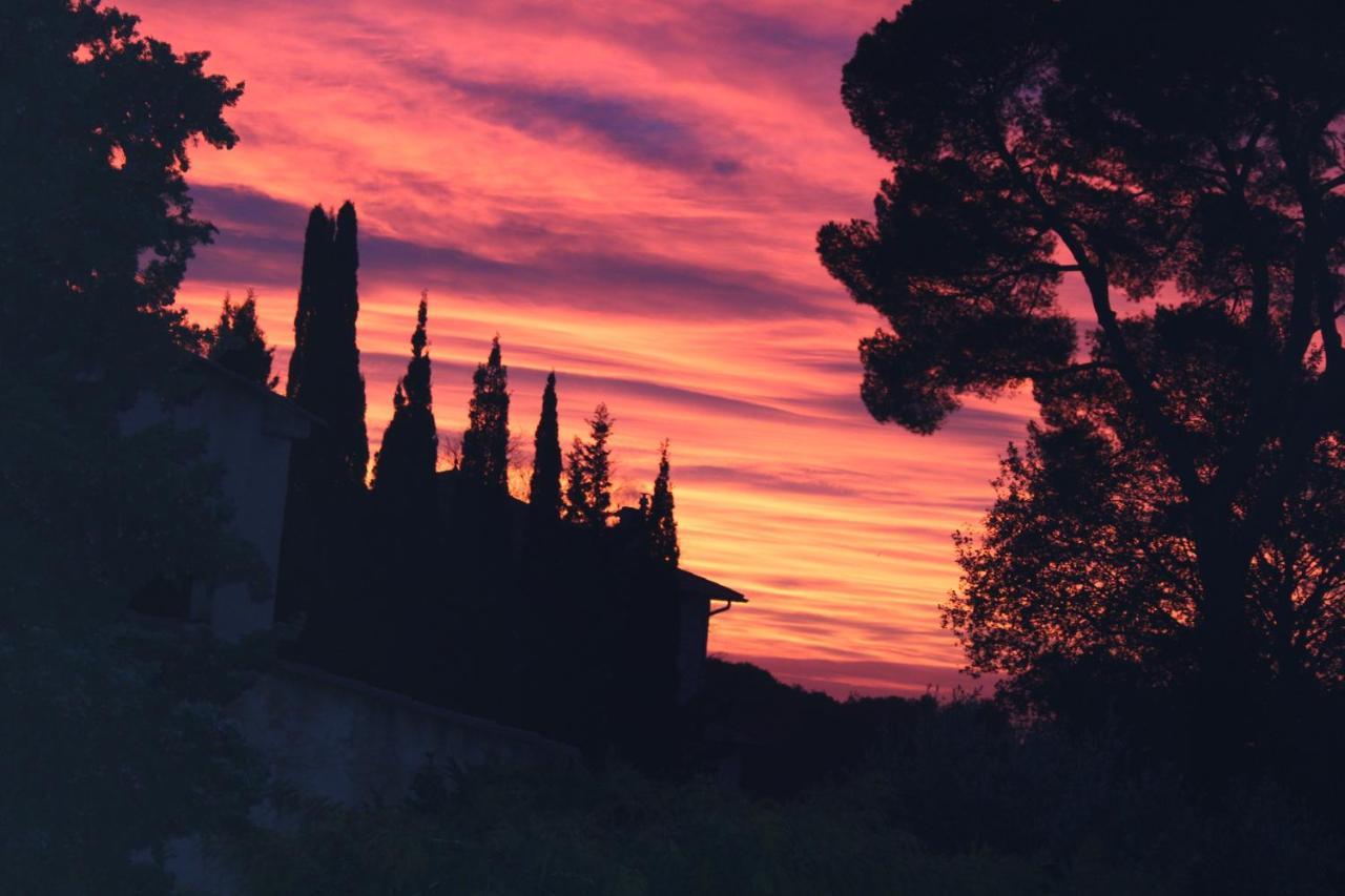 Appartamento Ecole Buissonnière Antibes Esterno foto