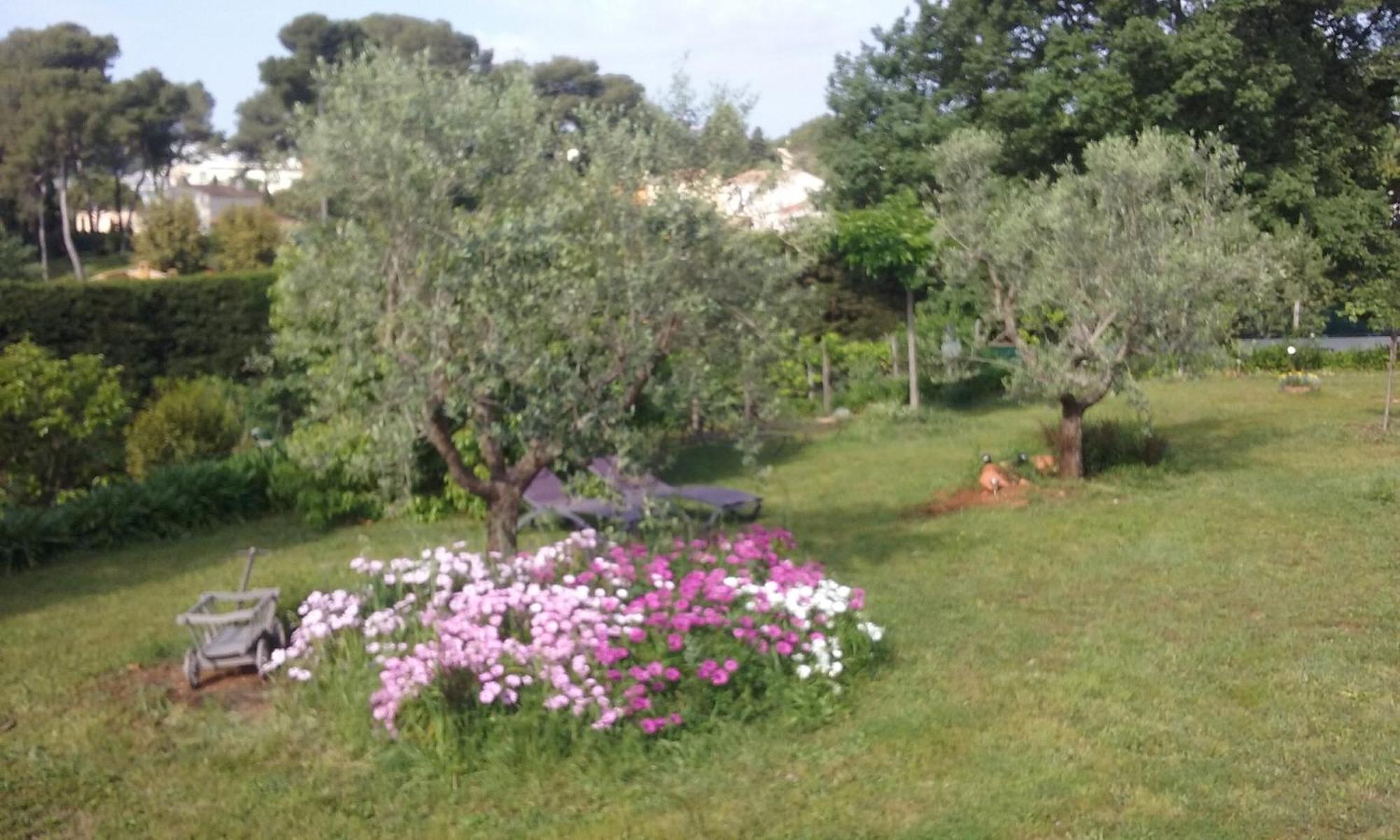 Appartamento Ecole Buissonnière Antibes Esterno foto