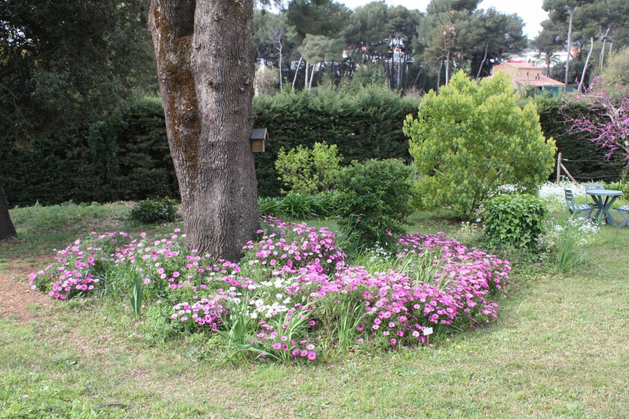 Appartamento Ecole Buissonnière Antibes Esterno foto